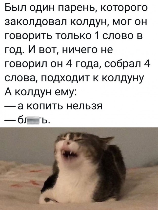 Так себе картинки 10.04.22