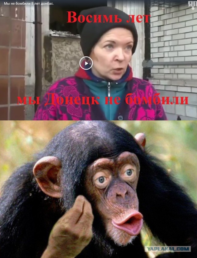 Александр Гуревич. Ведущий России-1. Высказался о войне