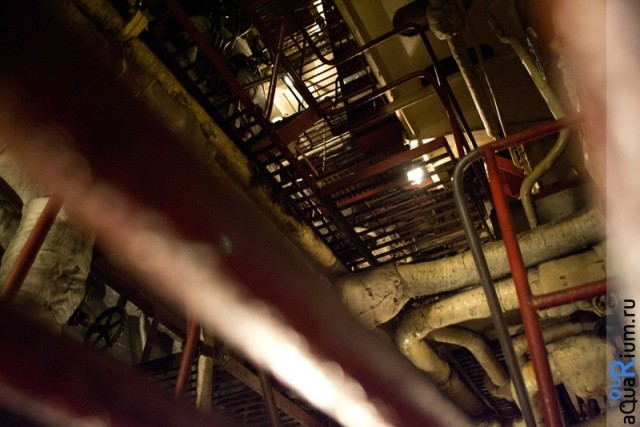 СПб глазами уставшего туриста...