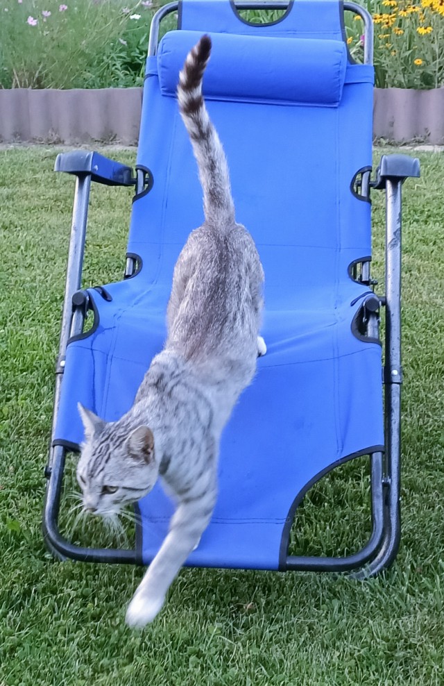 КотоФторник 23.08.22