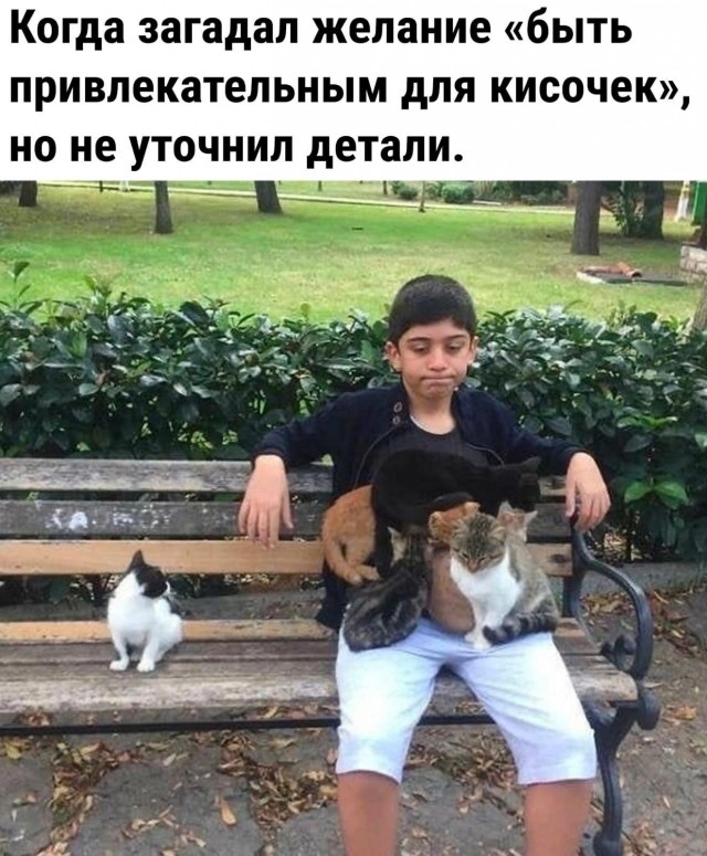 Юмор в картинках и без