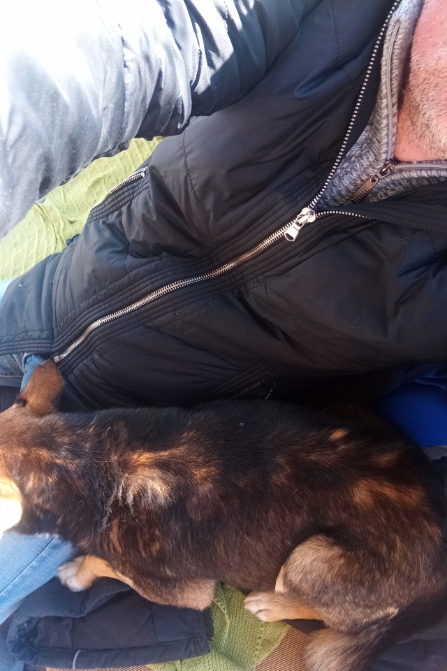 Он ещё не понял что. Его любят и у него есть дом.