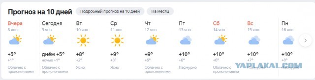 Холодно. -38
