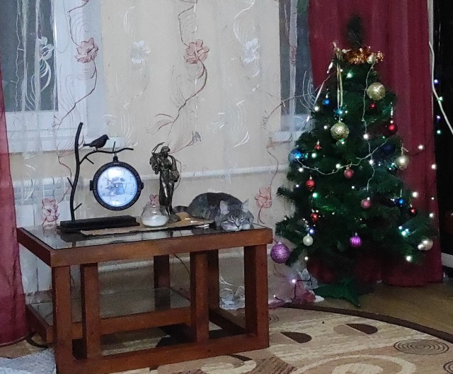 Как отучить кошку лазить по столу?