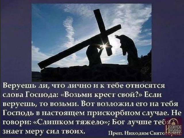 Победная поступь идиотизма по планете – том 10