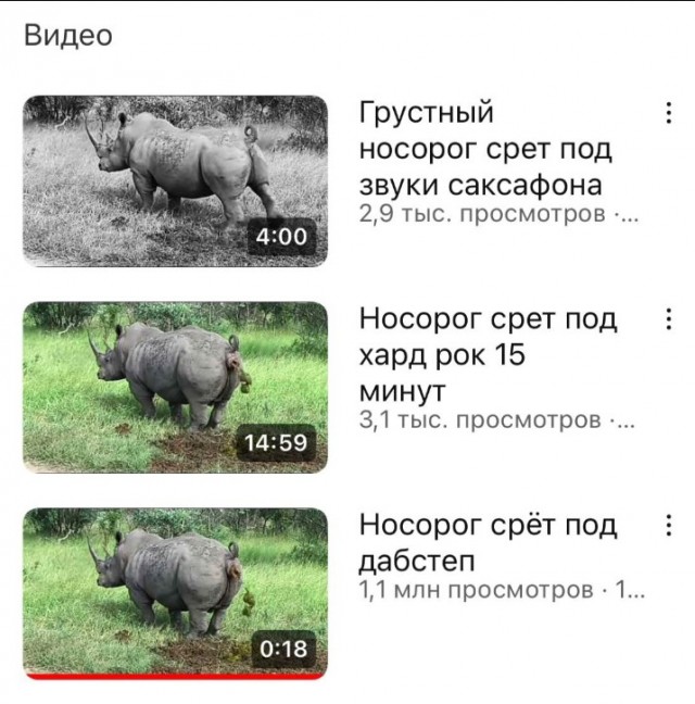 Всего понемногу. От 31.07.23