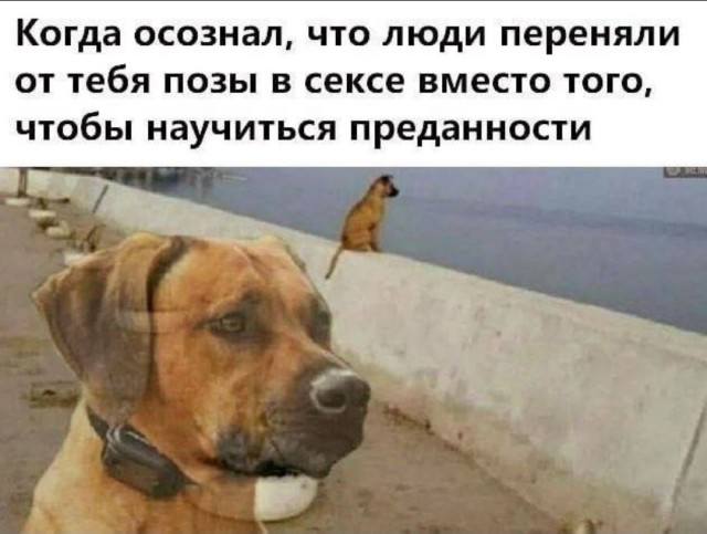 Друг познается в беде