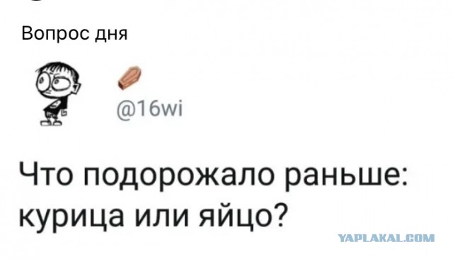 В Госдуме объяснили рост цен на яйца тем, что россияне стали больше есть