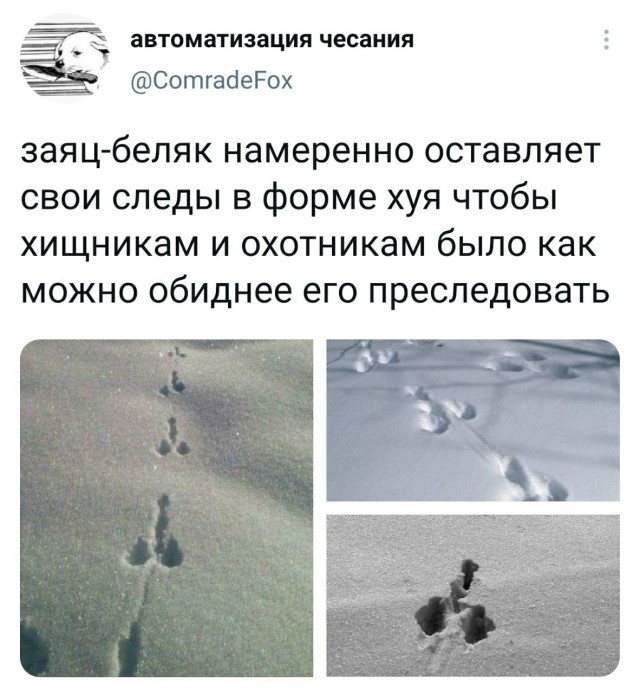 Разножанровые картинки. Без определённого смысла