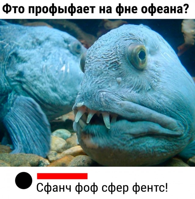 Так себе картинки 10.04.24