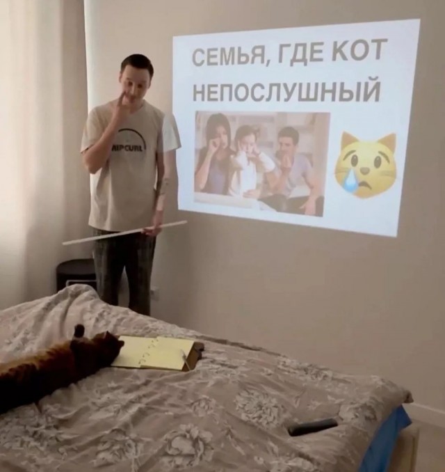 Курс прослушал
