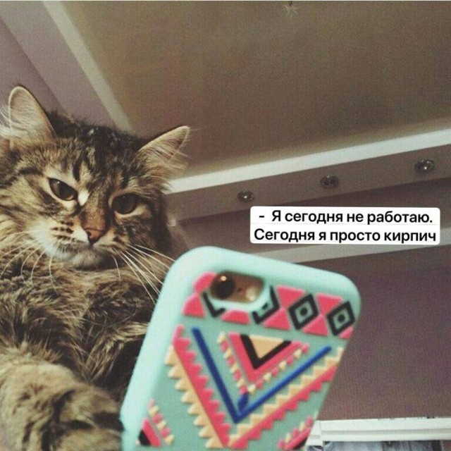 Сегодня День отказа от мобильного телефона