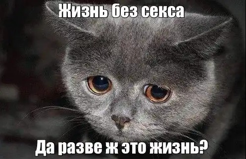 Отсутствие секса укорачивает жизнь у мужчин, — учёные