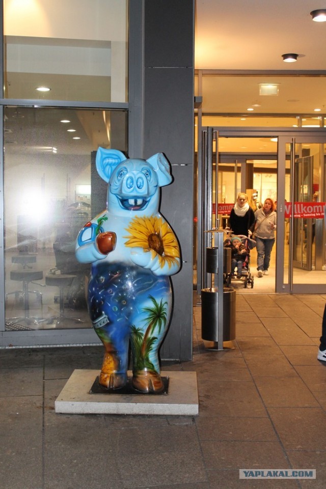 В Германию на сертификацию.