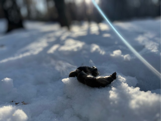 Красивое фото из телефона