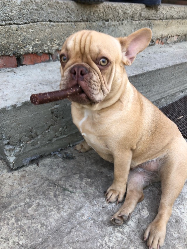 Заряд позитива: взгляните на 25 самых забавных снимков