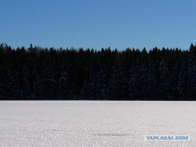 Флаг Украины