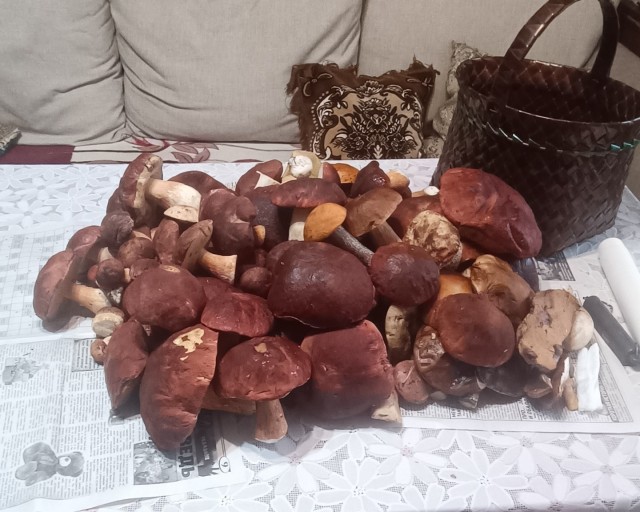 Грибное