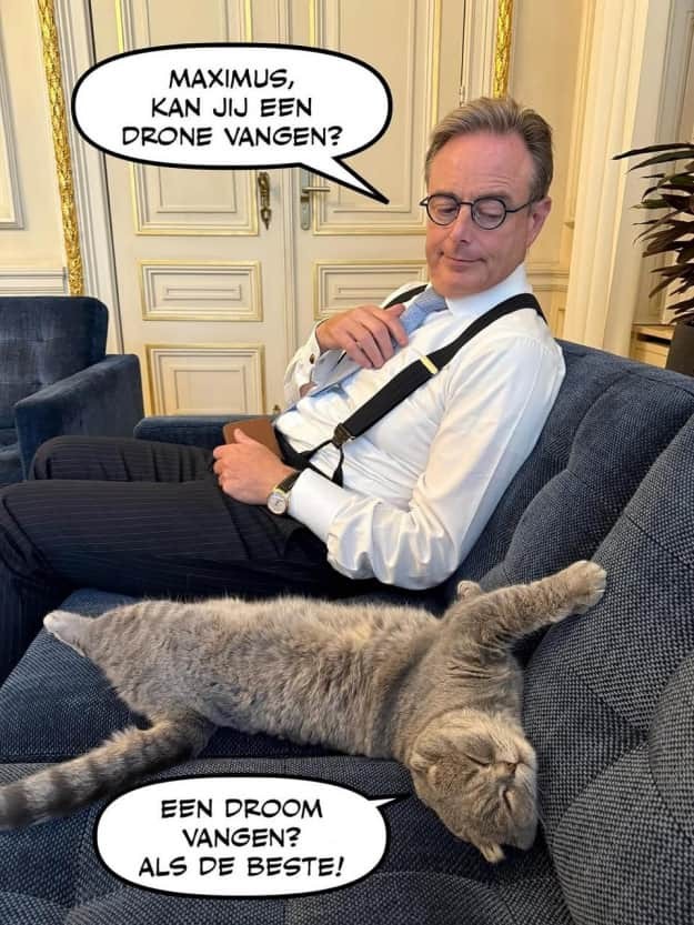 Барт Вевер с котом