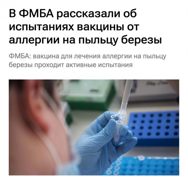 В России начали тестировать вакцину против аллергии на пыльцу березы