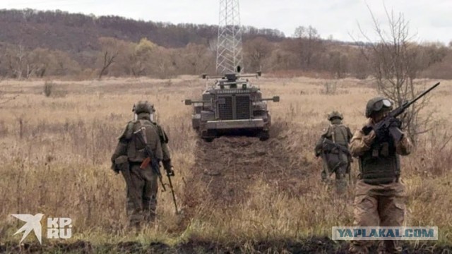 Северокорейские саперы в процессе разминирования территории Курской области