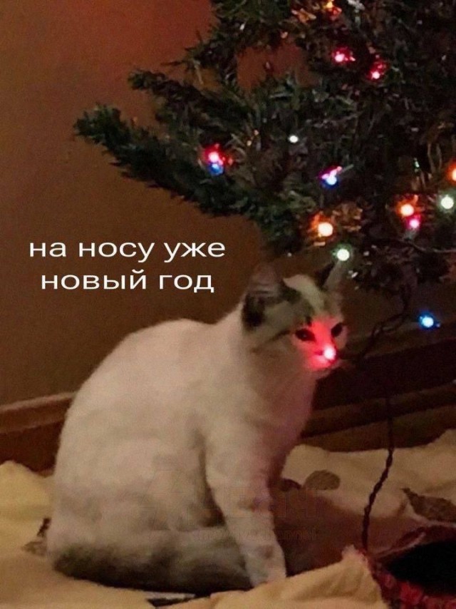 Четверговые картинки