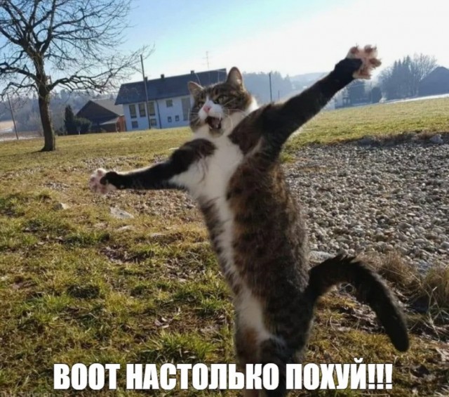 Вы будете смеяться, но снова подоспела перемога.
