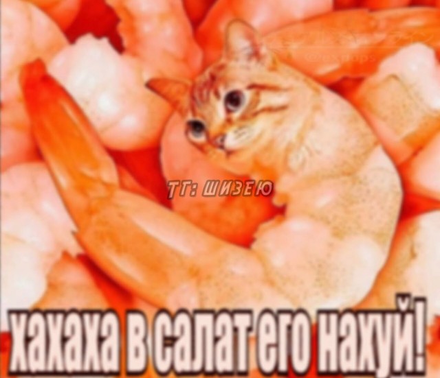 Немного картинок на ночь