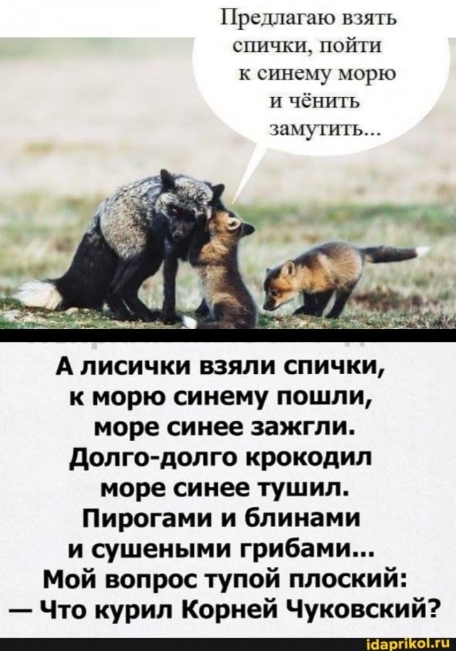В Подмосковье начался сезон лисичек