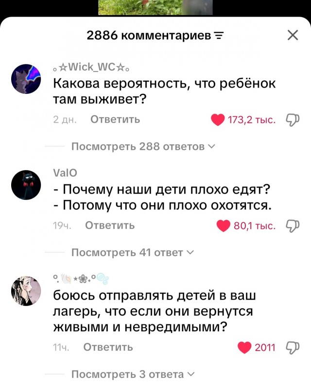"Если ваш дети только жрут, срут и ноют..."