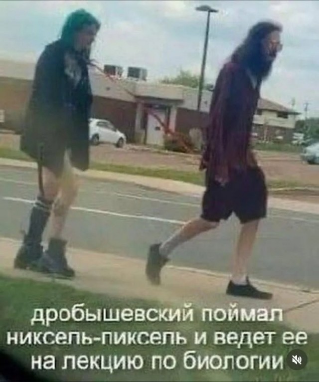 Дробышевский