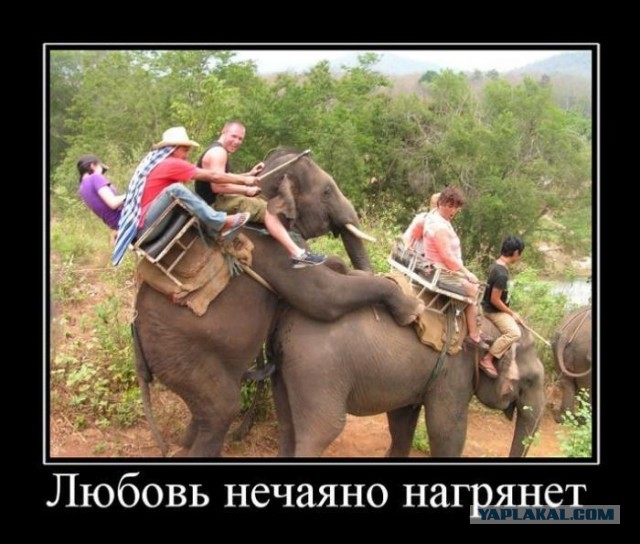 Самые провальные сексуальные снимки