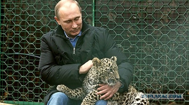 За что стоит уважать Владимира Путина?