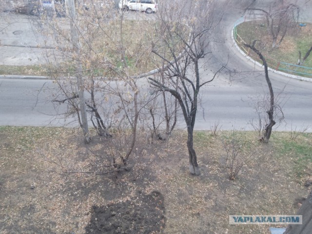 Что у тебя сейчас за окном?:)