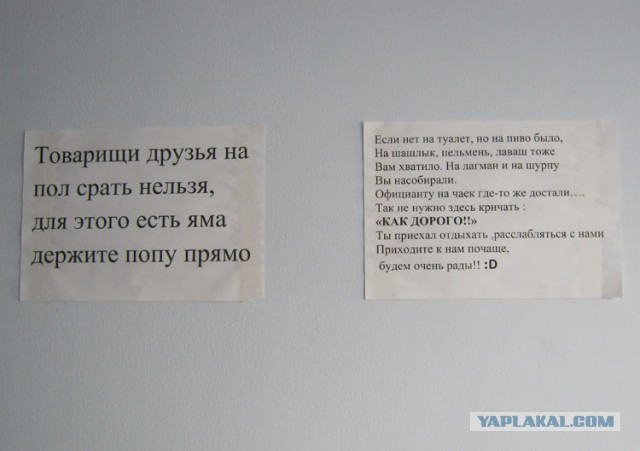 Весёлые картинки