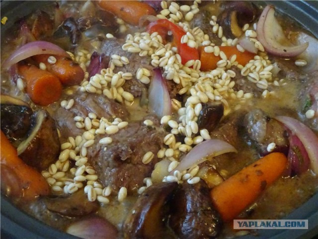 Гастрономическое путешествие мистера Andy, Кулинария для andy2308