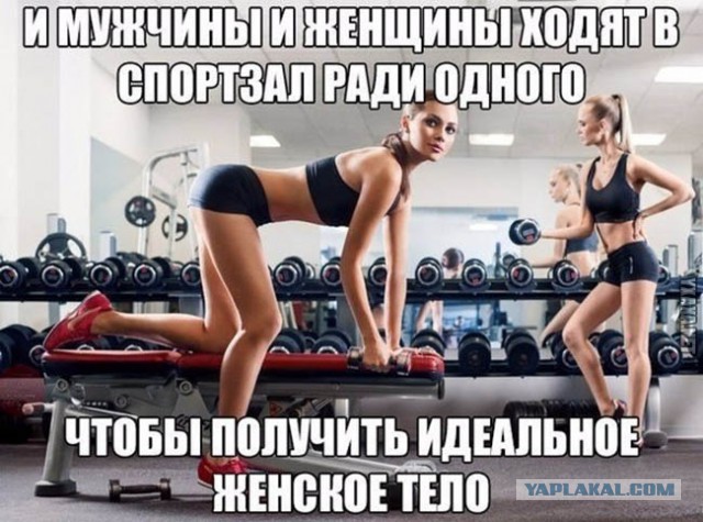 65 советов жиробаса. Как похудеть быстро