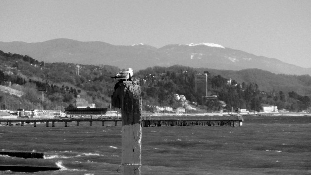 Поездка на Роза Хутор