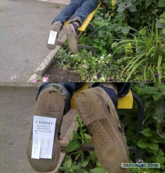 Соцсети - и смех и грех