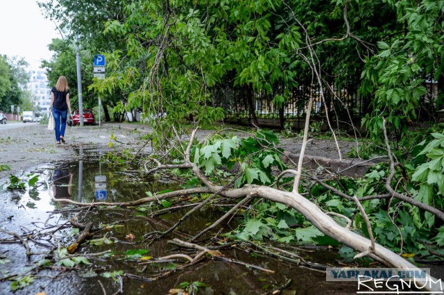 Сильная гроза в Москве и ее последствия