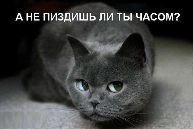 Фото-винегрет на субботу