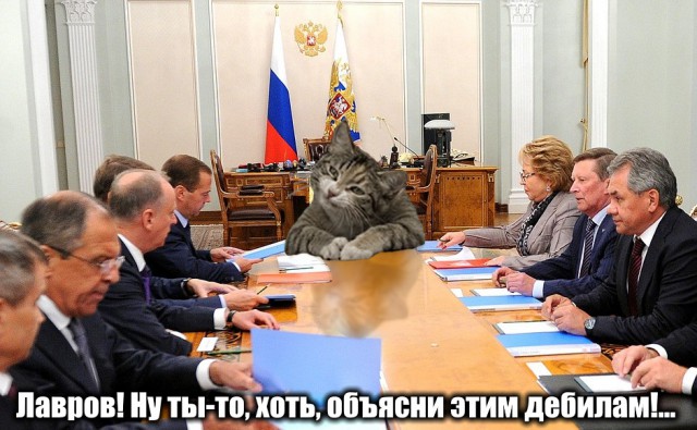 Я не умею рисовать котов? Да ладно...