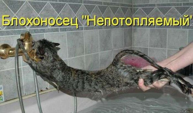 Когда киски не хотят быть мокрыми