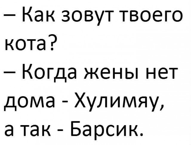 Прикольные картинки обо всём