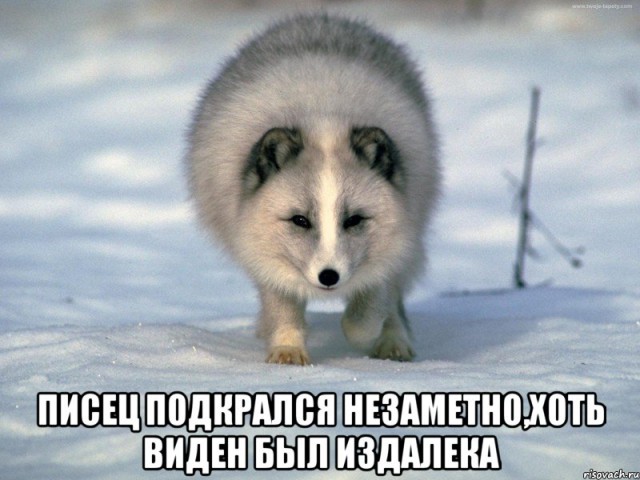 Российский интернет могут замкнуть по китайскому сценарию