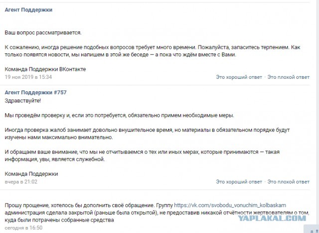 Помогите вернуть кота! Приют "Преданное сердце" украл кота и не отдает!-2