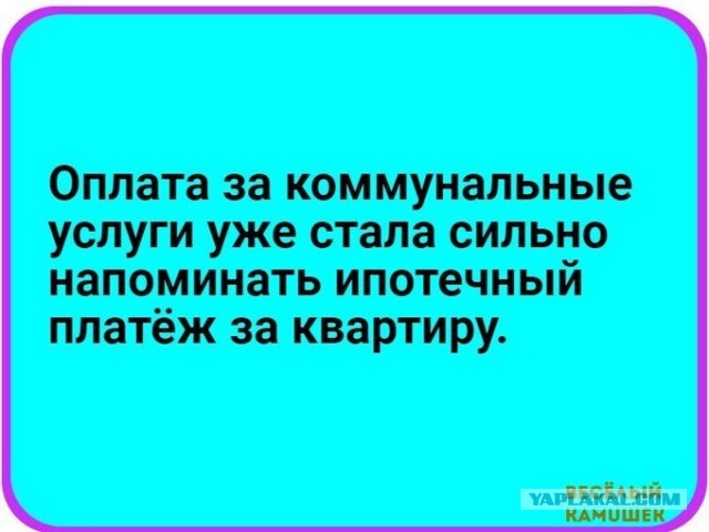 Бредзона 07.02.2020