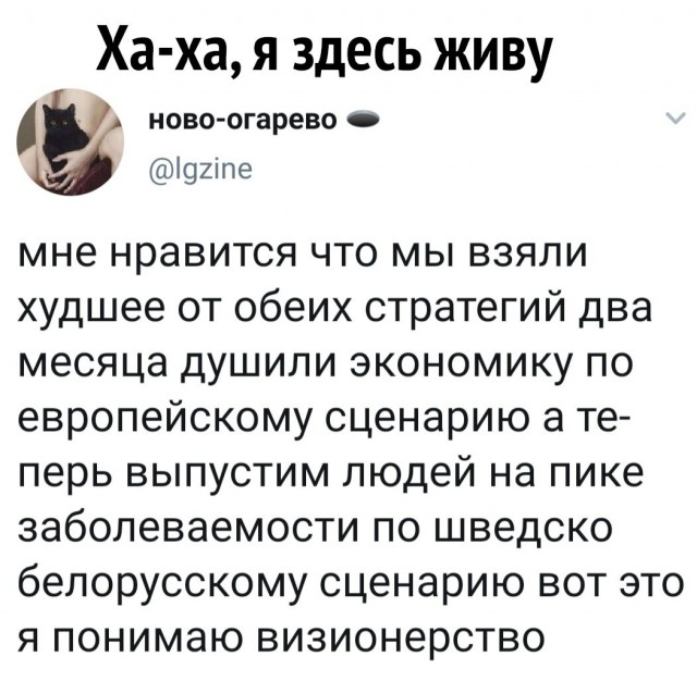 Бредзона 20.05.2020