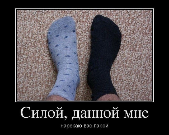 Так себе картинки 14.06.20