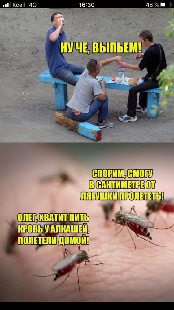 Скотсети и прочие интернеты 06.07.2020